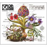 ゆず／図鑑（初回生産限定盤／ＤＶＤ付）