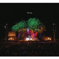 ＳＥＫＡＩ　ＮＯ　ＯＷＡＲＩ／Ｔｒｅｅ（初回限定盤）