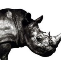 Ｍｒ．Ｃｈｉｌｄｒｅｎ／Ｍｒ．Ｃｈｉｌｄｒｅｎ　１９９２－１９９５