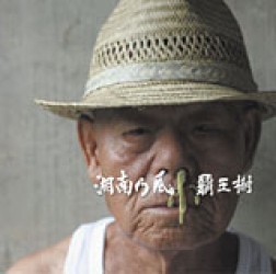 湘南乃風／覇王樹