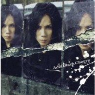 Ａｃｉｄ　Ｂｌａｃｋ　Ｃｈｅｒｒｙ／冬の幻【初回生産限定盤／ＤＶＤ付／ジャケットＡ】