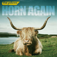 ｔｈｅ　ｐｉｌｌｏｗｓ／ＨＯＲＮ　ＡＧＡＩＮ【通常盤】