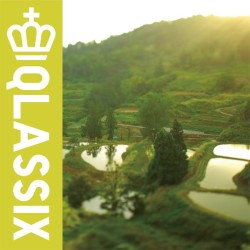 ＦＰＭ／ＱＬＡＳＳＩＸ