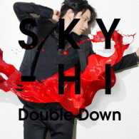 ＳＫＹ－ＨＩ／Ｄｏｕｂｌｅ　Ｄｏｗｎ（Ｍｕｓｉｃ　Ｖｉｄｅｏ盤）