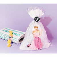 Ｄｒｅａｍ　Ａｍｉ／Ｗｏｎｄｅｒｌａｎｄ