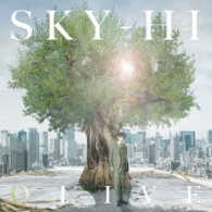 ＳＫＹ－ＨＩ／ＯＬＩＶＥ（Ｍｕｓｉｃ　Ｖｉｄｅｏ盤）
