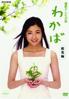 連続テレビ小説　わかば　総集編