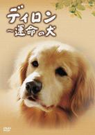ディロン　運命の犬