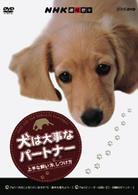 ＮＨＫ趣味悠々　犬は大事なパートナー　上手な飼い方、しつけ方