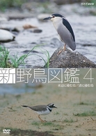 新　野鳥図鑑　第４集　水辺に棲む鳥／渚に棲む鳥