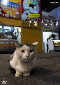岩合光昭の世界ネコ歩き　チリ
