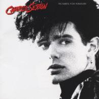 チャーリー・セクストン／ピクチャーズ・フォー・プレジャー