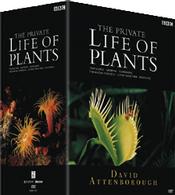 プライベート・ライフ・オブ・プランツ／植物の世界 ＤＶＤ－ＢＯＸ 