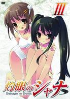 灼眼のシャナ　Ⅲ