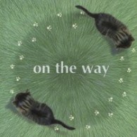 杉山紀彰／ｏｎ　ｔｈｅ　ｗａｙ【メジャー・デビュー作】