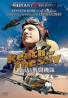 殴り込み戦闘機隊