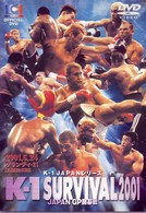 Ｋ－１　ＳＵＲＶＩＶＡＬ　２００１　ＪＡＰＡＮ　ＧＰ　開幕戦　２００１．６．２４