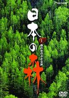 日本の森　１