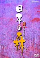 日本の森　４
