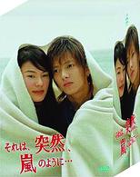 それは、突然、嵐のように…　ＤＶＤ－ＢＯＸ