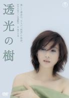 透光の樹