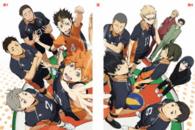 ハイキュー！！　ｖｏｌ．９　ＤＶＤ