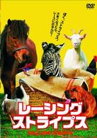 レーシング・ストライプス
