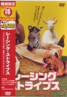レーシング・ストライプス