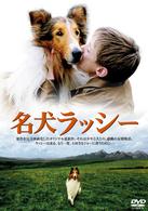 名犬　ラッシー