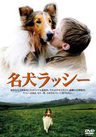 名犬　ラッシー