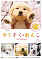やくそくわんこ