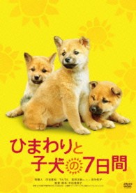 ひまわりと子犬の７日間