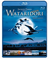 ＷＡＴＡＲＩＤＯＲＩ　ディレクターズ・カット　－デジタル・レストア・バージョン－　Ｂｌｕ－ｒａｙ Ｂｌｕ－ｒａｙ　Ｄｉｓｃ