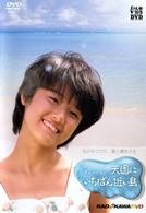 天国にいちばん近い島　廉価（期間限定）【2007年発売】