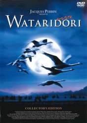 ＷＡＴＡＲＩＤＯＲＩ