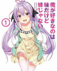 俺が好きなのは妹だけど妹じゃない　Ｖｏｌ．１ Ｂｌｕ－ｒａｙ　Ｄｉｓｃ