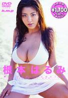 根本はるみ