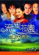 流星花園　～花より男子～　ＤＶＤ－ＢＯＸ　１