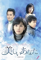 美しいあなた　ＤＶＤ－ＢＯＸ　２