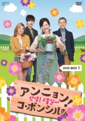 アンニョン！コ・ボンシルさん　ＤＶＤ－ＢＯＸ　１