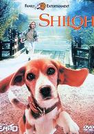 ビーグル犬　シャイロ　特別版