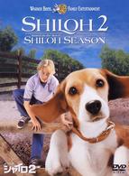 ビーグル犬　シャイロ２　特別版