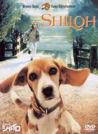 ビーグル犬　シャイロ　特別版