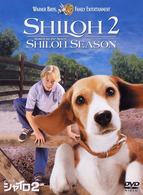 ビーグル犬　シャイロ２　特別版