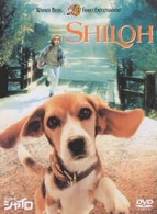 ビーグル犬　シャイロ　特別版