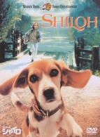 ビーグル犬　シャイロ　特別版