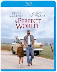 パーフェクト　ワールド Ｂｌｕ－ｒａｙ　Ｄｉｓｃ