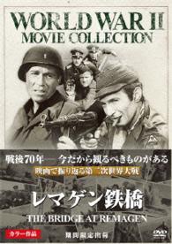 レマゲン鉄橋〔期間限定出荷〕
