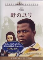 野のユリ