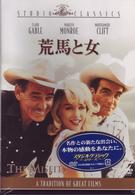 荒馬と女